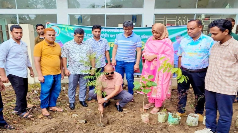 কুমিল্লা জেলা পরিষদের উদ্যোগে বৃক্ষরোপণ 