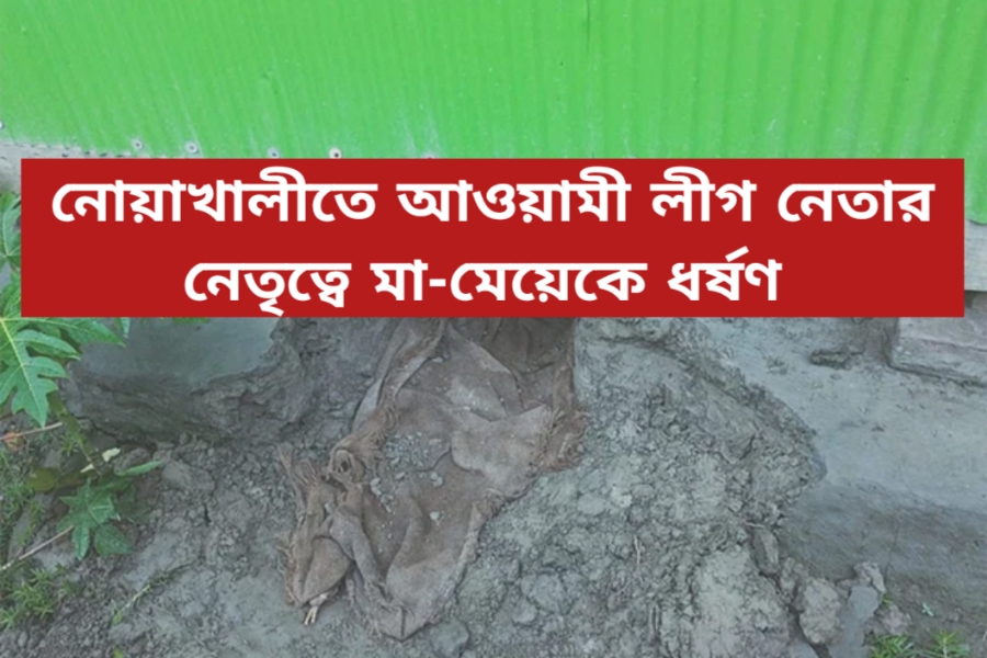 আওয়ামী লীগ নেতার নেতৃত্বে মা-মেয়েকে গণধর্ষণ