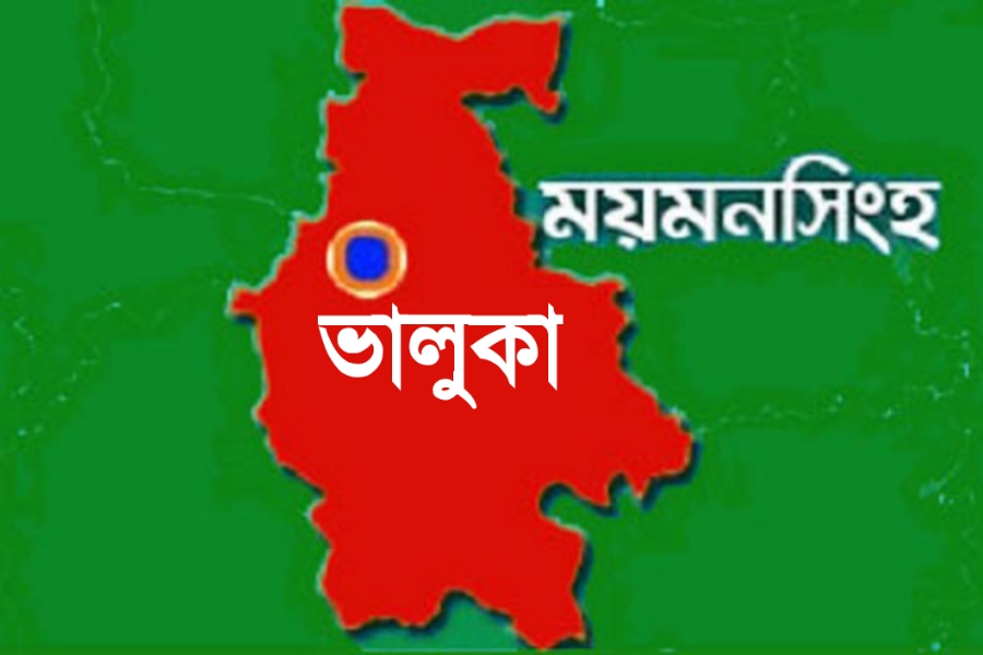 ভালুকায় ছোট ভাইয়ের হাতে বড় ভাই খুন
